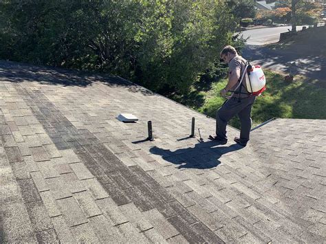 Shingle Magic User Reviews: Revolutionizing the Roofing Industry